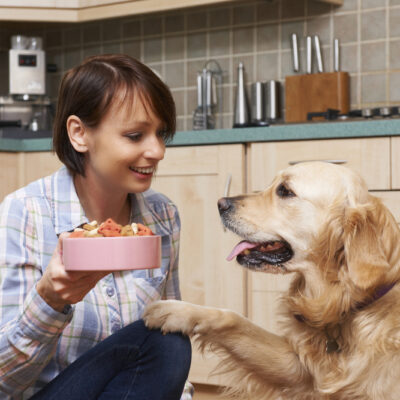 Tips for Food Allergies in Dogs