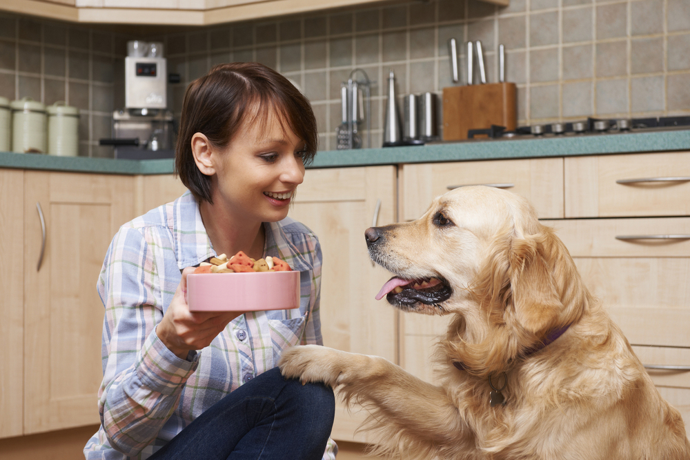 Tips for Food Allergies in Dogs